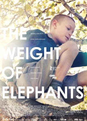 大象的重量海报封面图