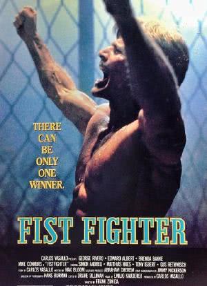Fist Fighter海报封面图