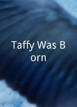 Taffy Was Born海报封面图