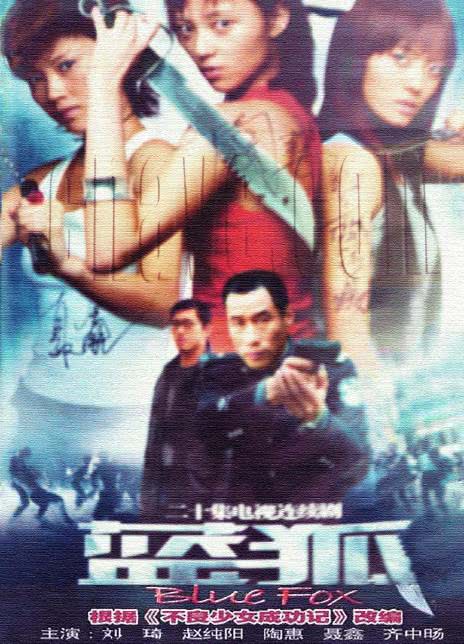 2006国剧《蓝狐》全集 DVD 迅雷下载