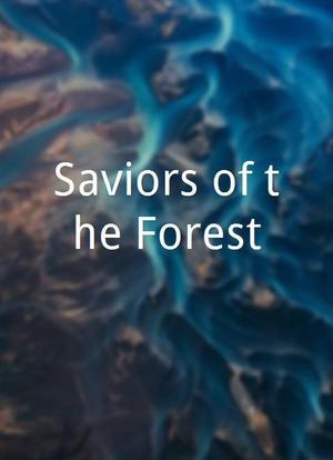 Saviors of the Forest海报封面图