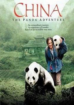 与熊猫共探险海报封面图