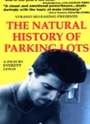 The Natural History of Parking Lots海报封面图