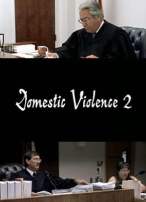 家庭暴力 II海报封面图