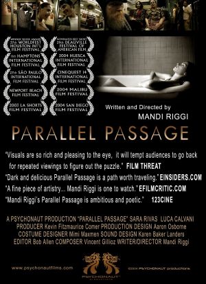 Parallel Passage海报封面图