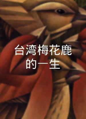 台湾梅花鹿的一生海报封面图