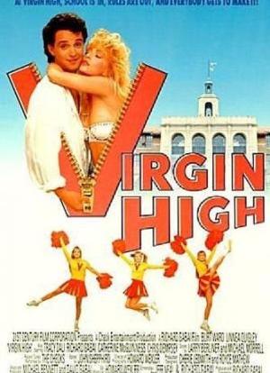 Virgin High海报封面图