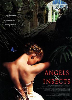 天使与昆虫海报封面图
