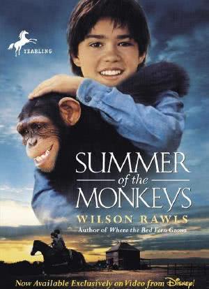 猴子的夏天海报封面图
