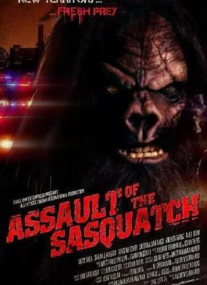 Assault of the Sasquatch海报封面图
