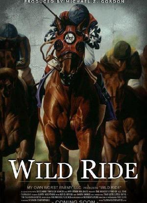 A Wild Ride海报封面图