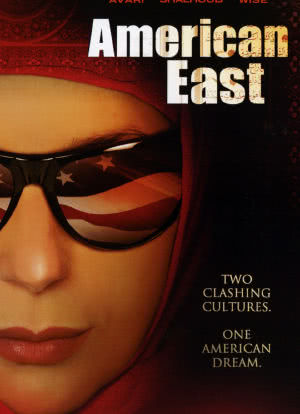 阿拉伯人在美国海报封面图