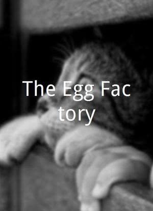 The Egg Factory海报封面图