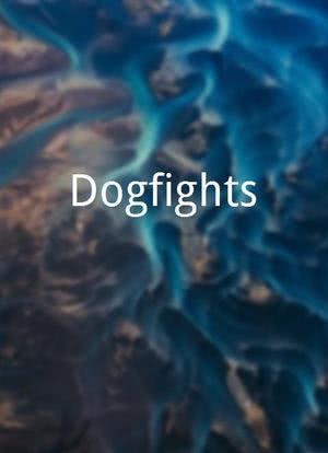 "Dogfights"海报封面图