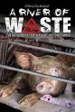 Parris N. Glendening A River of Waste: The Hazardous Truth About Factory Farms