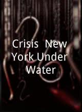 Crisis: New York Under Water