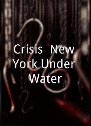 Crisis: New York Under Water海报封面图