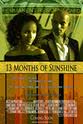 Steve Sabo 13 Months of Sunshine