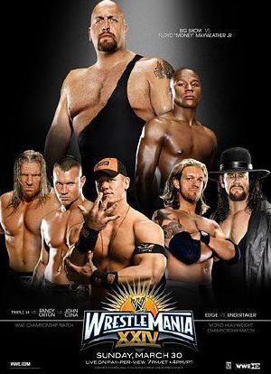 WWE：摔角狂热24海报封面图