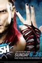 J.R. Ross WWE: The Bash