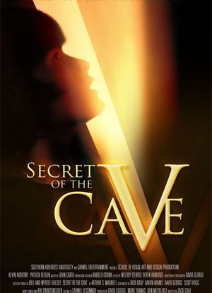 洞穴的秘密海报封面图