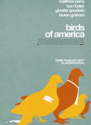 美国鸟类海报封面图
