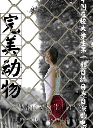 完美动物海报封面图