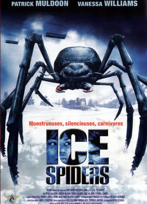 冰冻蜘蛛海报封面图