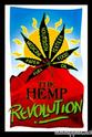 Patsy Harmsen 大麻革命