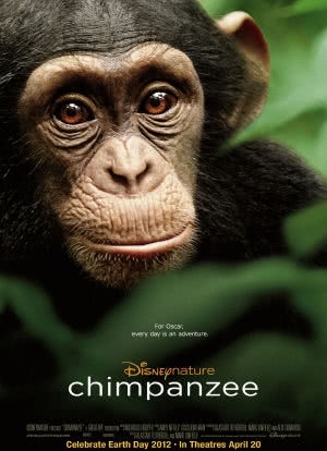 黑猩猩海报封面图