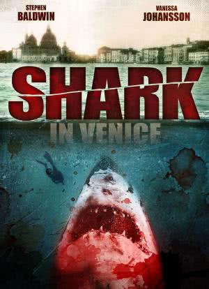 威尼斯之鲨海报封面图