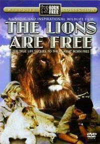 The Lions Are Free海报封面图