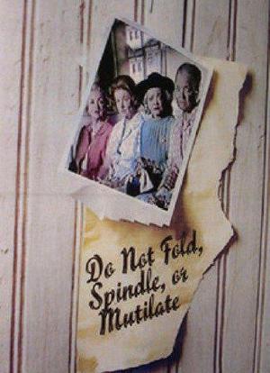 Do Not Fold, Spindle, or Mutilate海报封面图