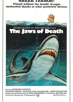 鲨人海报封面图