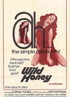Wild Honey海报封面图