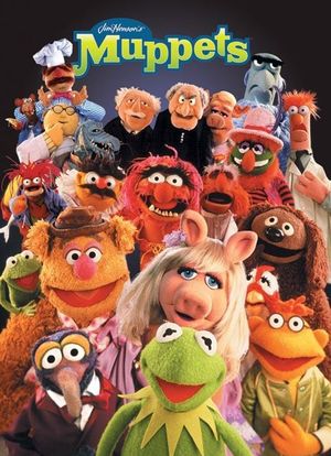 The Muppets: A Celebration of 30 Years海报封面图
