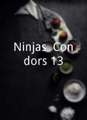 Ninjas, Condors 13海报封面图
