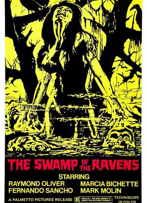 沼泽的乌鸦海报封面图