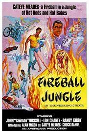 Fireball Jungle海报封面图