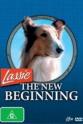 Rudd Weatherwax Lassie: A New Beginning