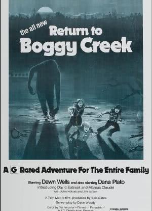 Return to Boggy Creek海报封面图