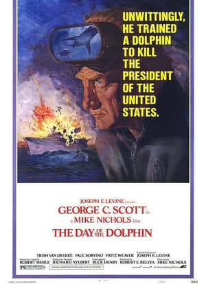 海豚之日海报封面图