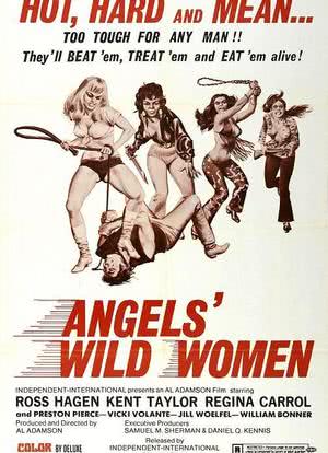 Angels' Wild Women海报封面图