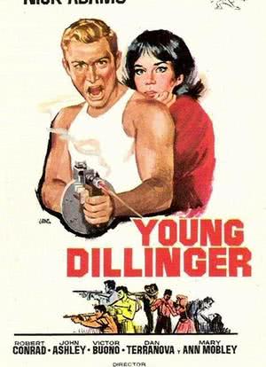 Young Dillinger海报封面图