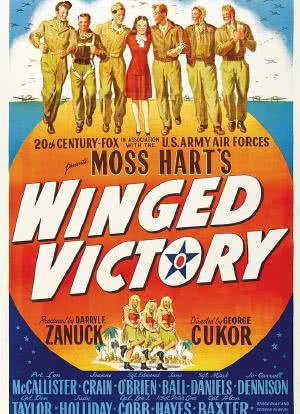 翼的胜利海报封面图