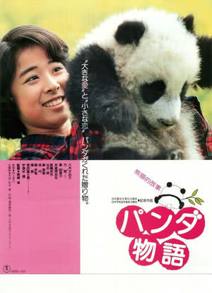 熊猫的故事海报封面图
