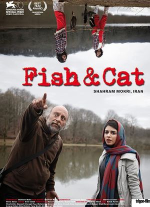鱼与猫海报封面图
