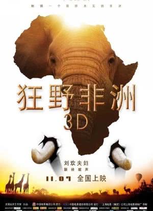 狂野非洲海报封面图