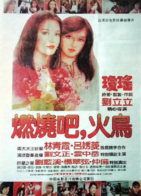 1980台湾剧情《燃烧吧，火鸟》 HD1080P 迅雷下载