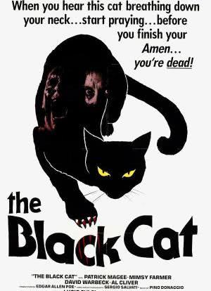 黑猫海报封面图